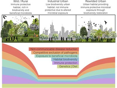 Relating Urban Biodiversity to Human Health With the ‘Holobiont’ Concept